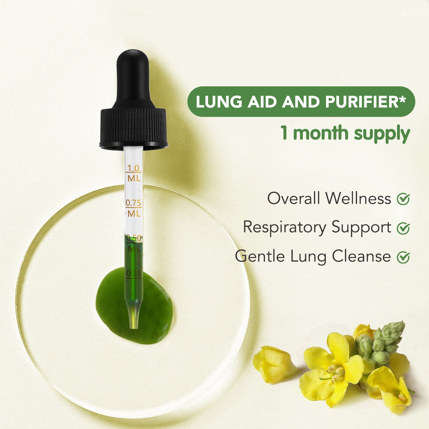 Xsvseie MULLEIN LEAF EXTRACT FOR STRONGERLUNGS