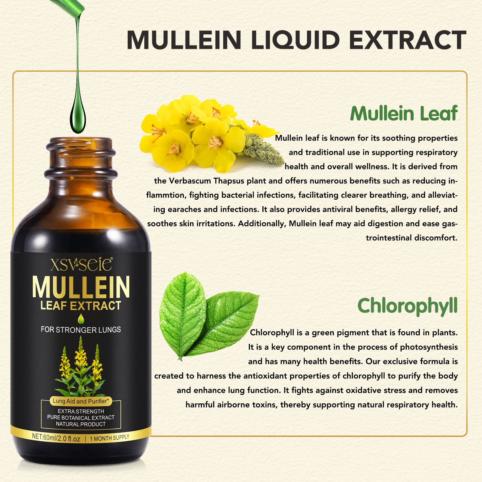 Xsvseie MULLEIN LEAF EXTRACT FOR STRONGERLUNGS